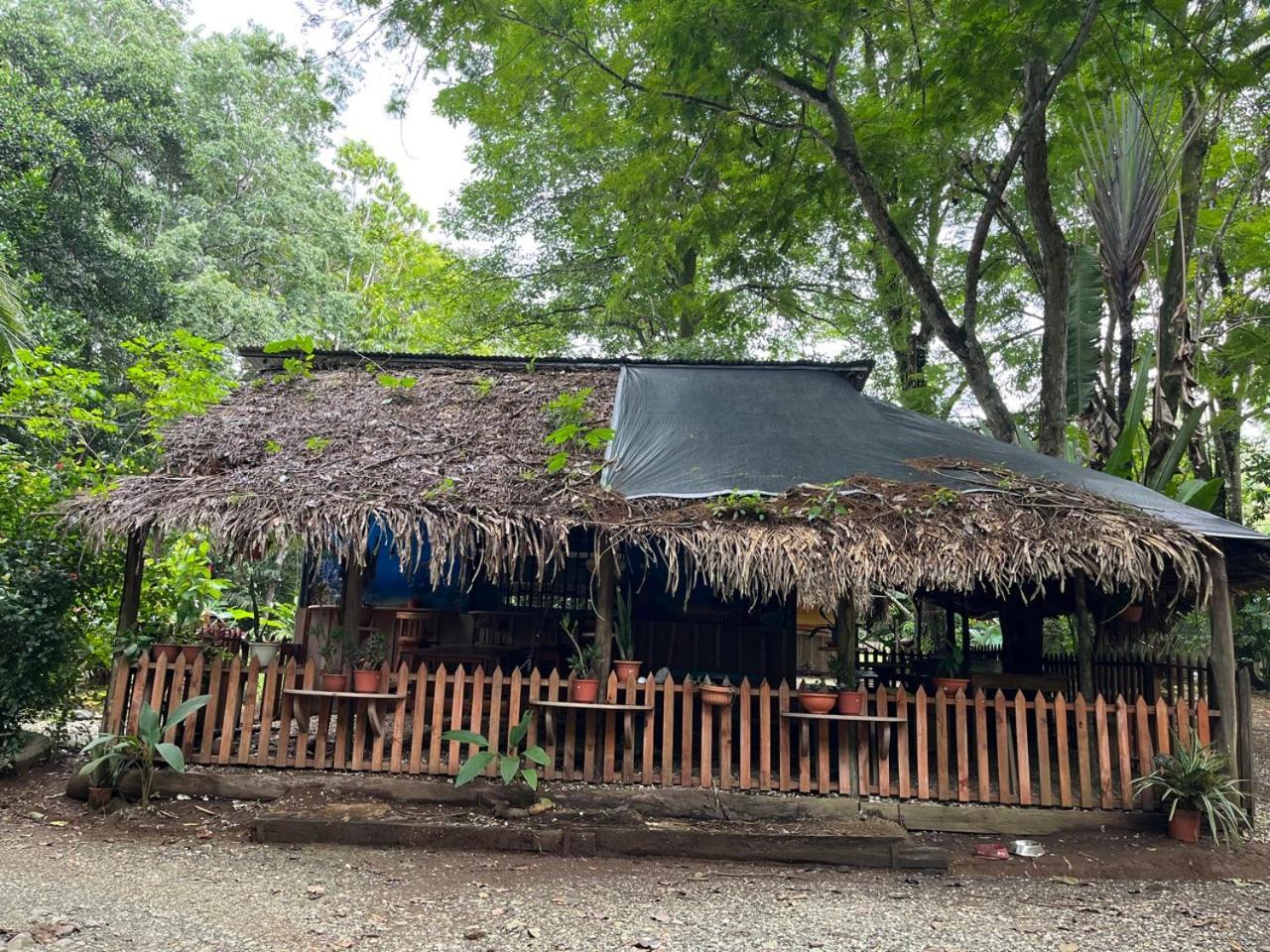 Hotel Gypsy Wagons Pavones  Exterior foto